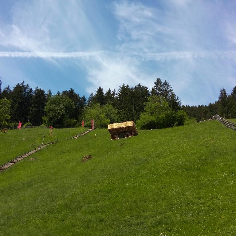 Pension Holzknechthof Am See ノイシュティフト・イム・シュトゥーバイタール エクステリア 写真