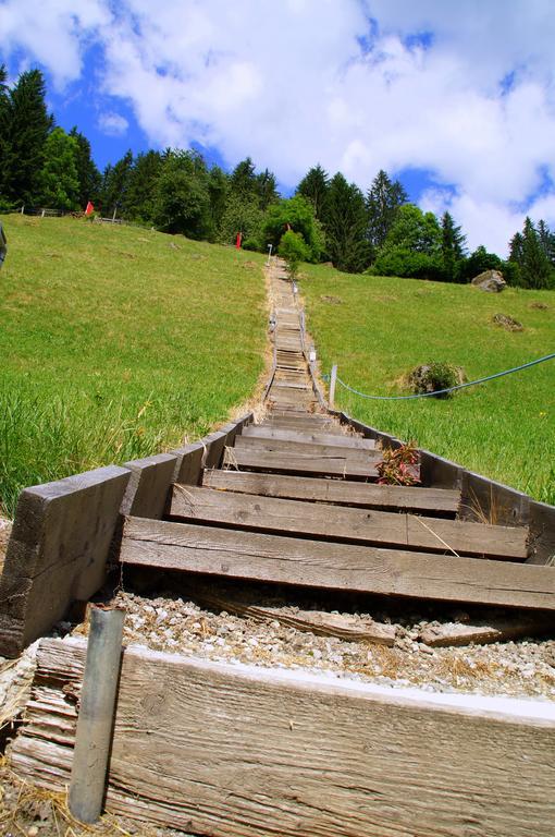 Pension Holzknechthof Am See ノイシュティフト・イム・シュトゥーバイタール エクステリア 写真